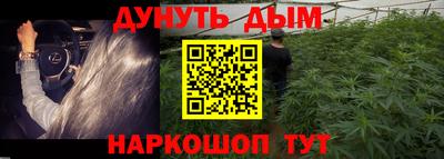 apvp Кунгур