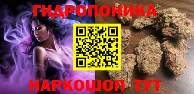 apvp Кунгур