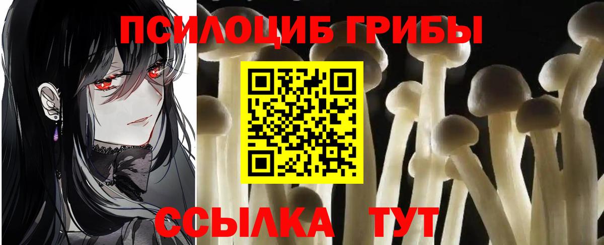 Псилоцибиновые грибы GOLDEN TEACHER Екатеринбург